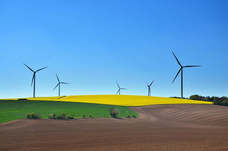 Sustainable practices